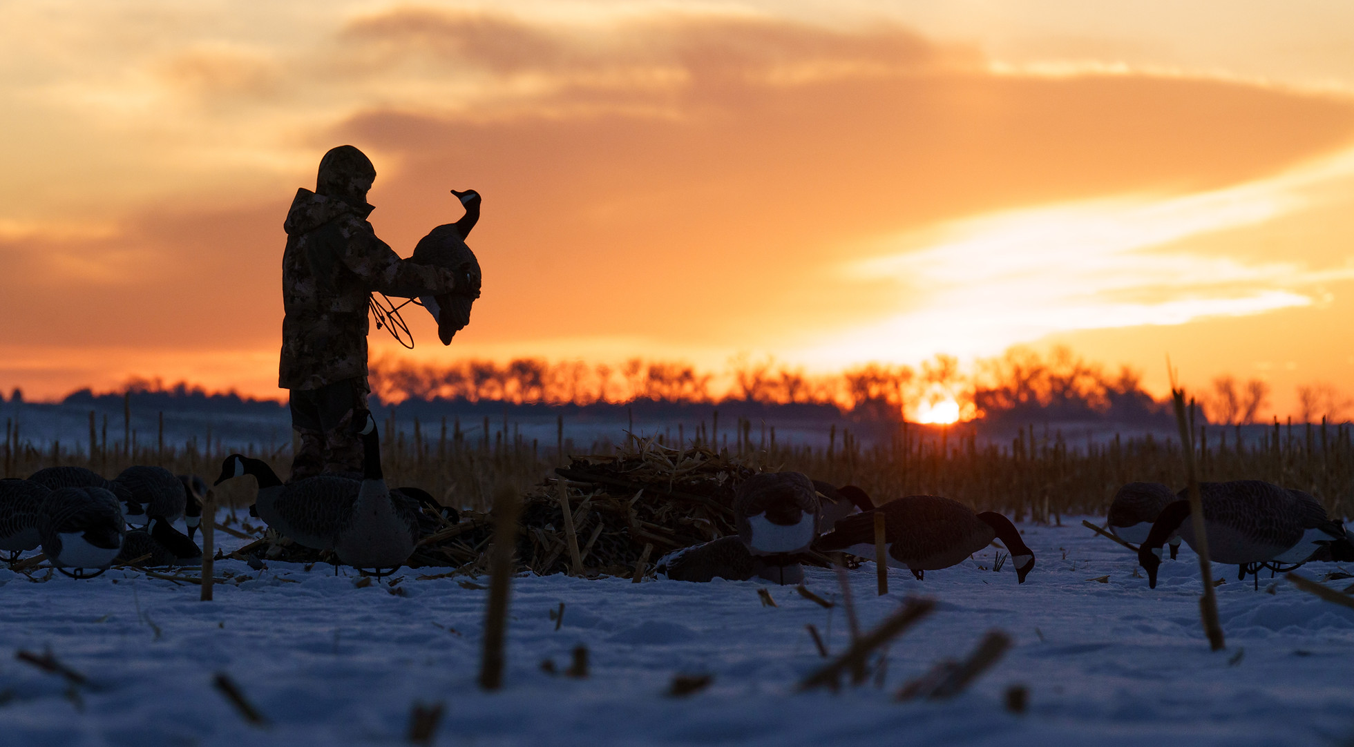 Montana Waterfowl Hunts - Latitudes