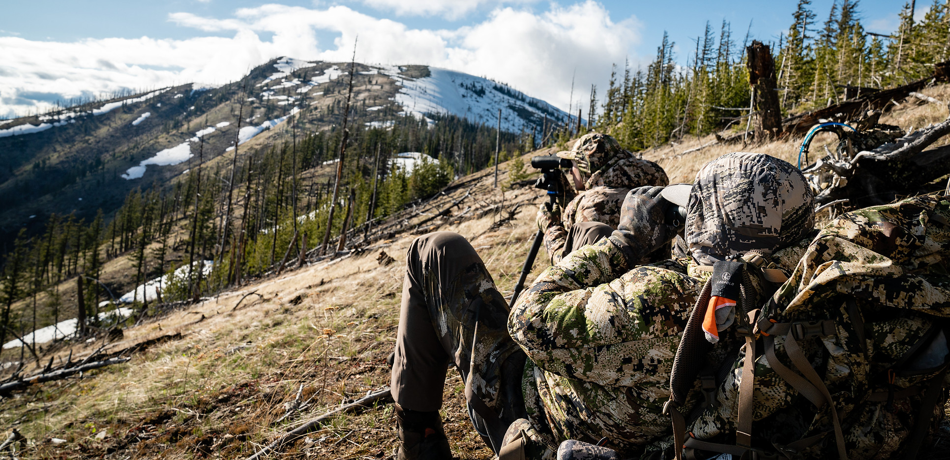 Spring Black Bear Guided Hunting - Latitudes