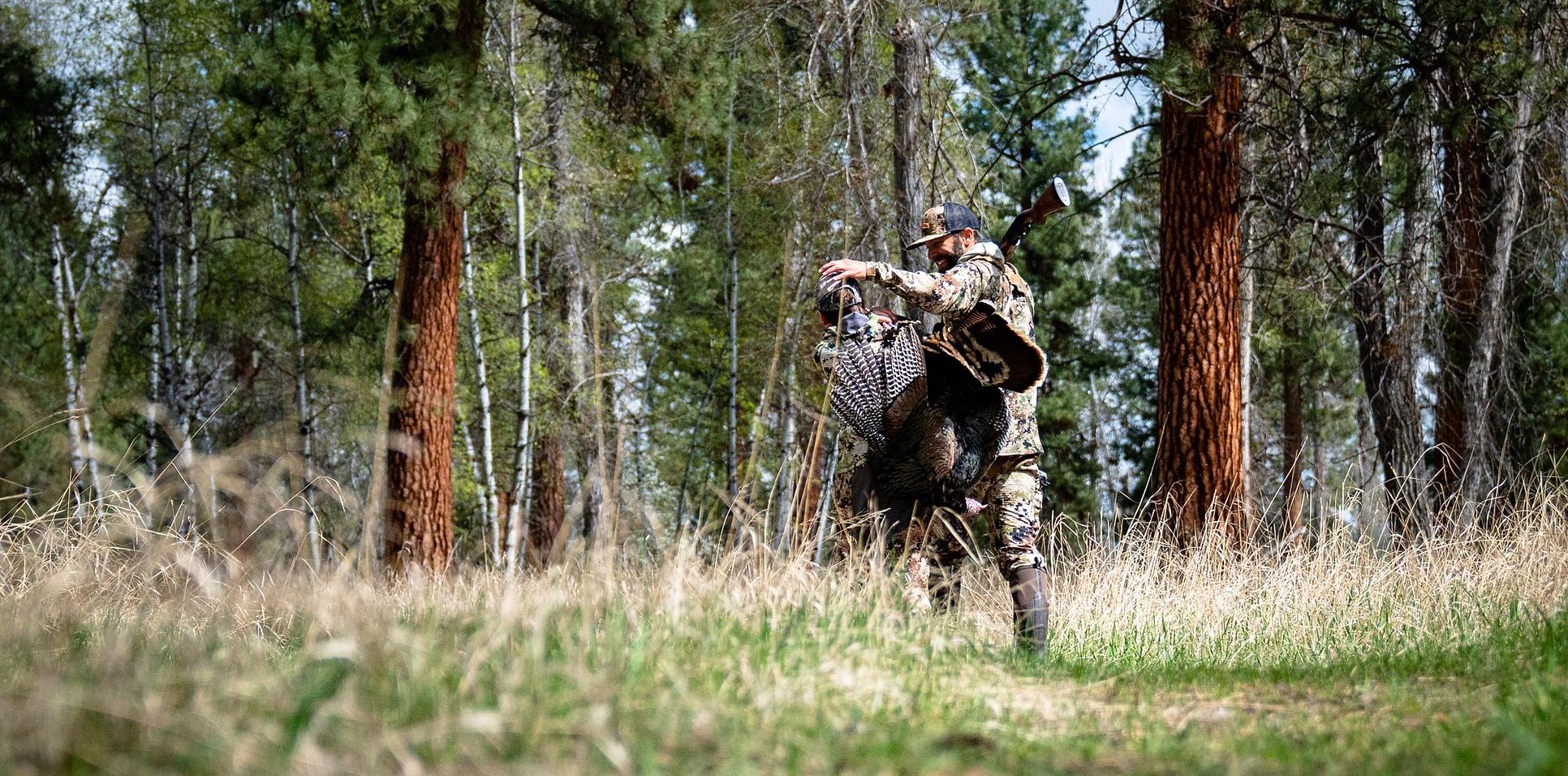 Montana Guided Turkey Hunting - Latitudes