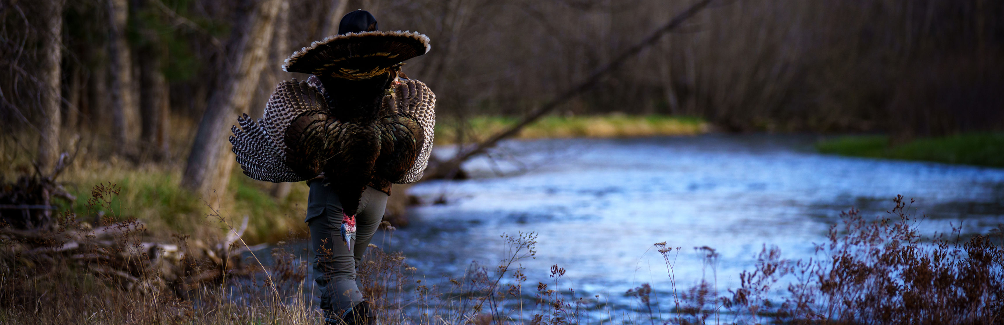 Bitterroot River Turkey Hunts - Latitudes